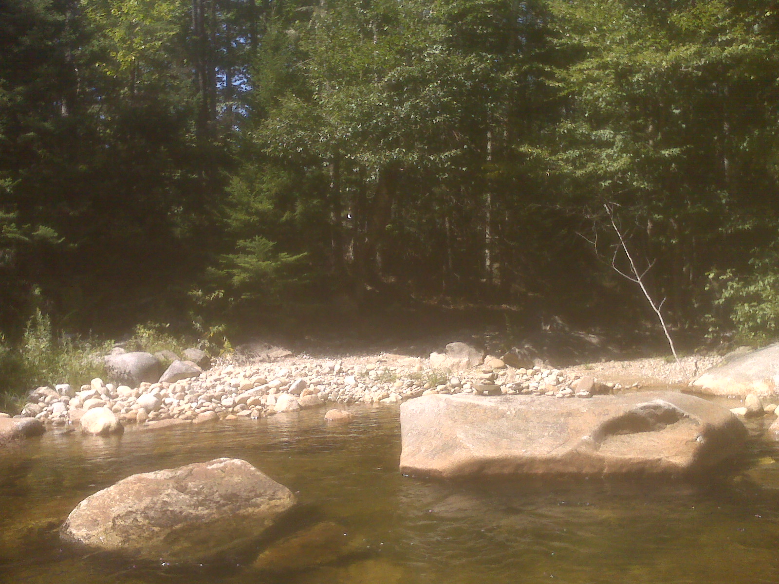 picture 1.